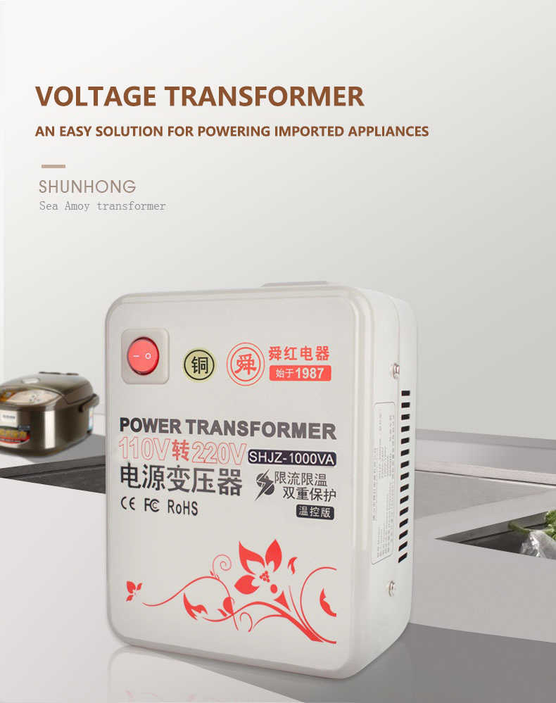 Voltage Transformer 3