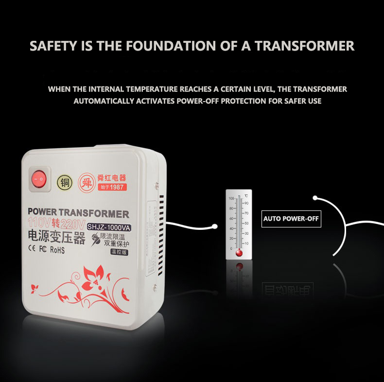 Voltage Transformer 4
